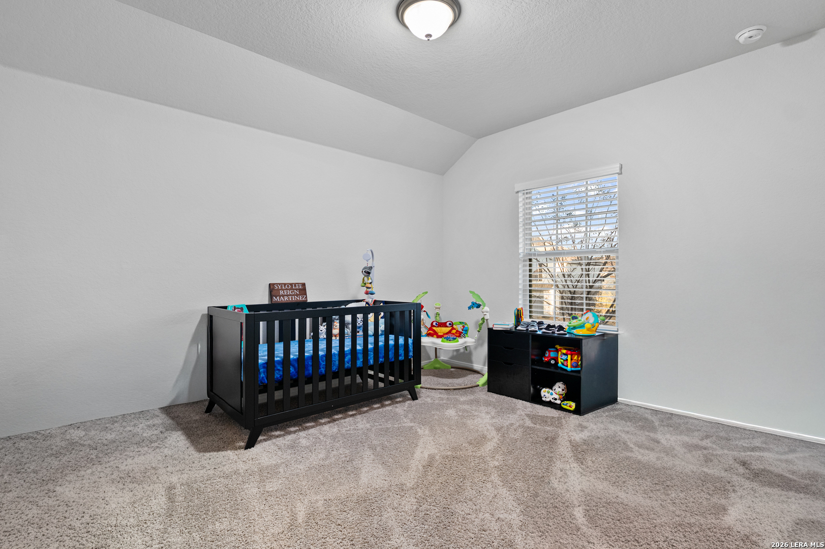 3717 Cualquiera, ,  78261 — photo 1
