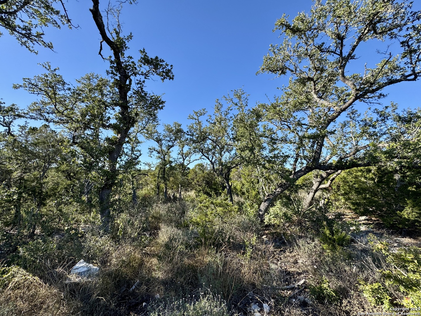 LOT 31 CR 2801, ,  78056 — photo 1