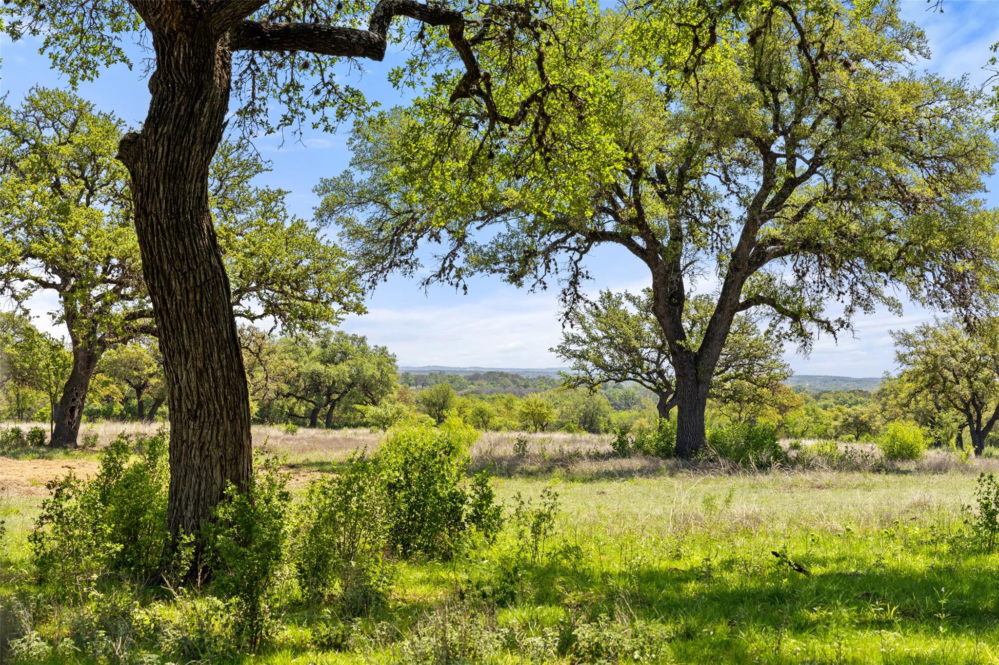 795 Gibson, Johnson City, TX 78636 — photo 1
