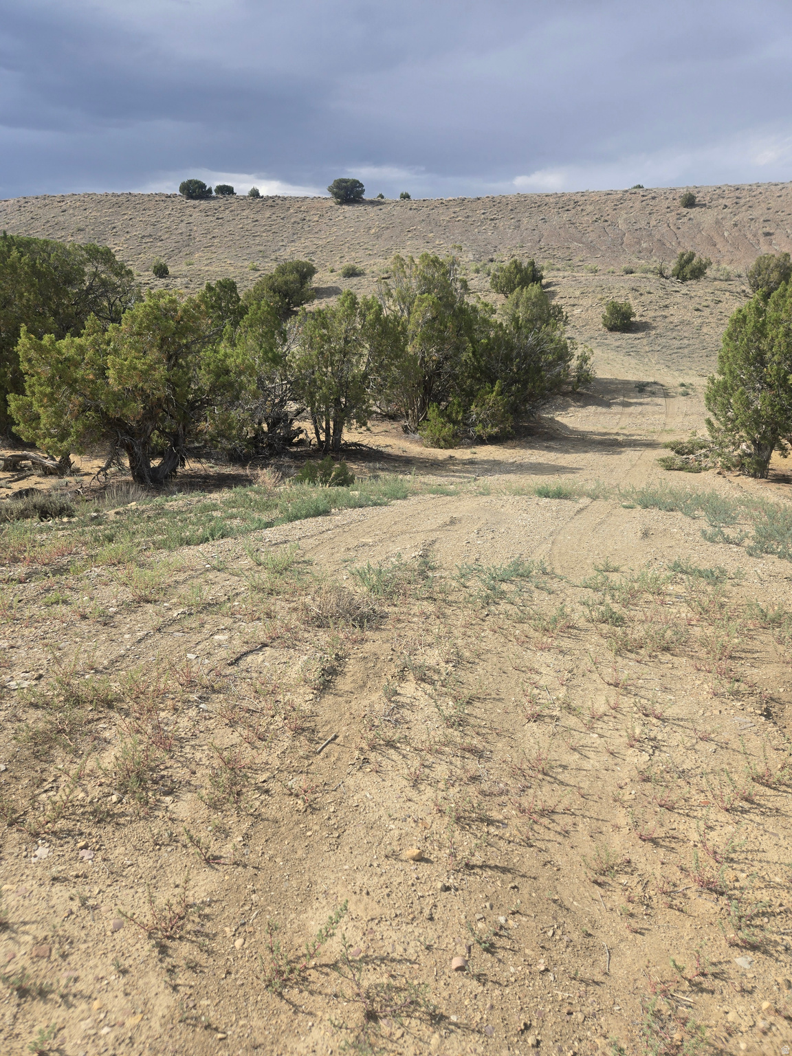 19774 W TOSHAS TRL, Duchesne, UT 84021 — photo 1