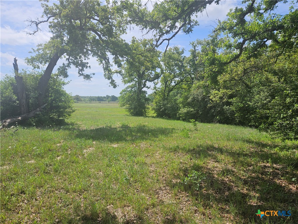 000 CR 322, Milano, TX 76556 — photo 1