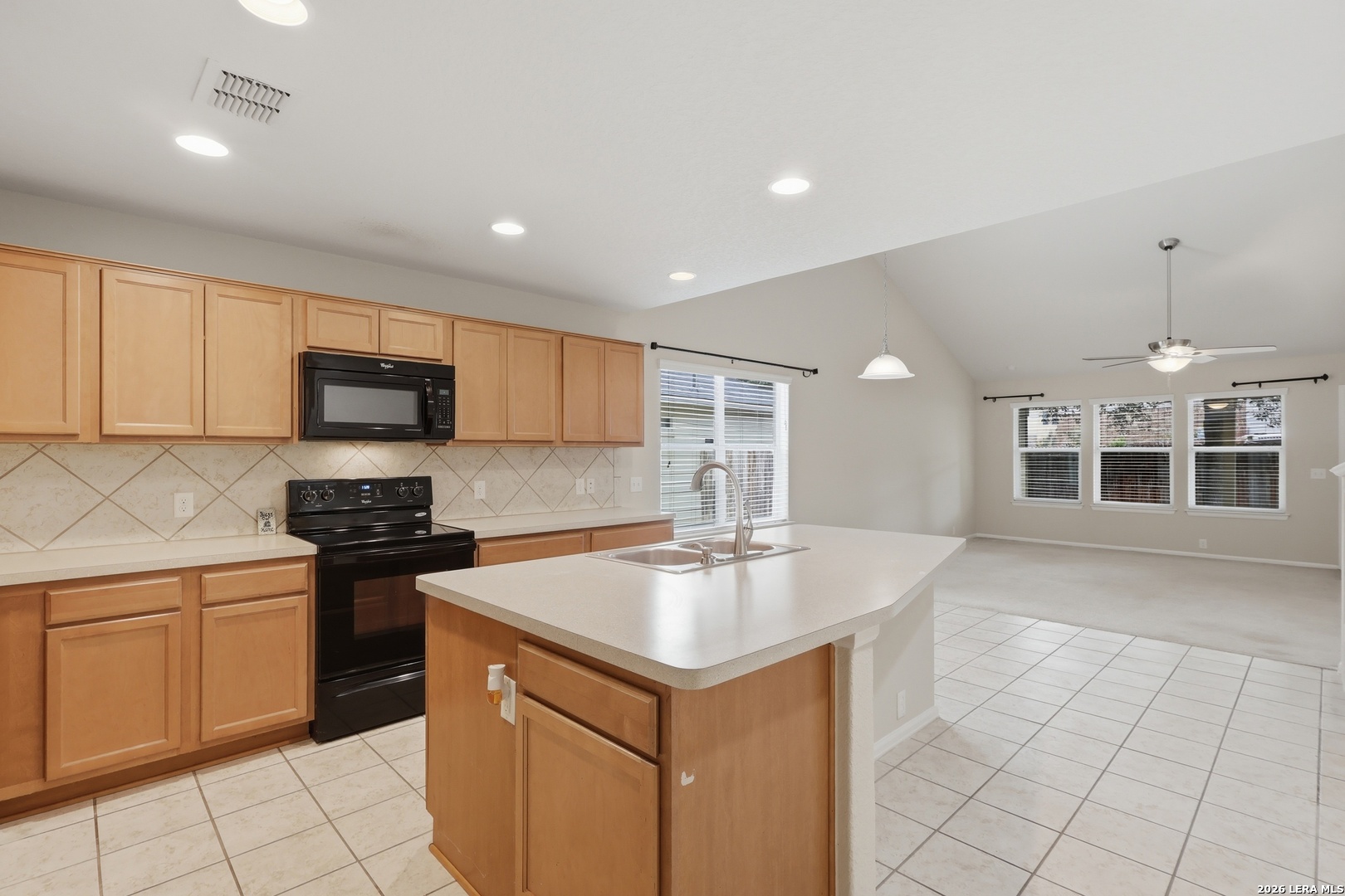10723 RIMFIRE RUN LN, ,  78245 — photo 1