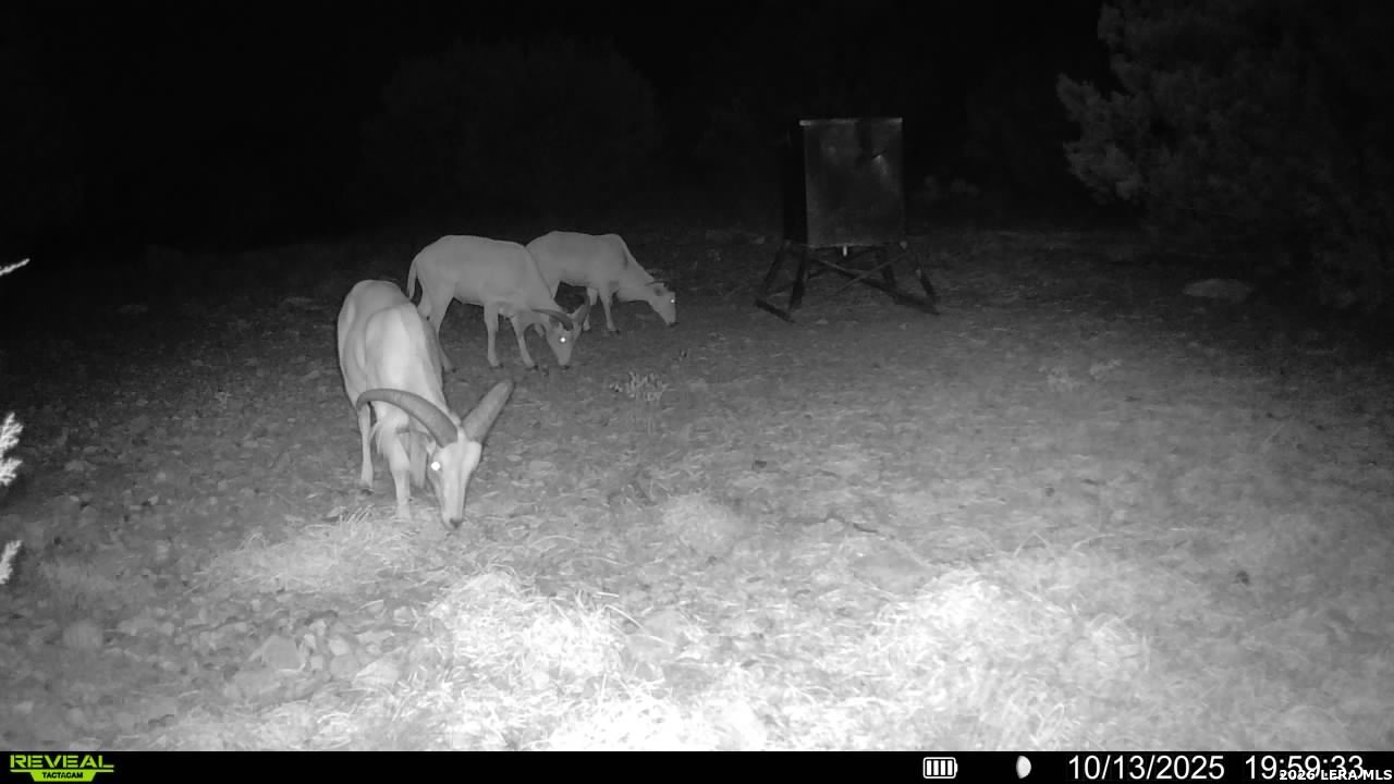 TBD SD 45453, ,  78880 — photo 1