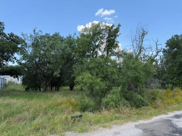 3523 Cactus, Kingsland, TX 78639 — photo 1