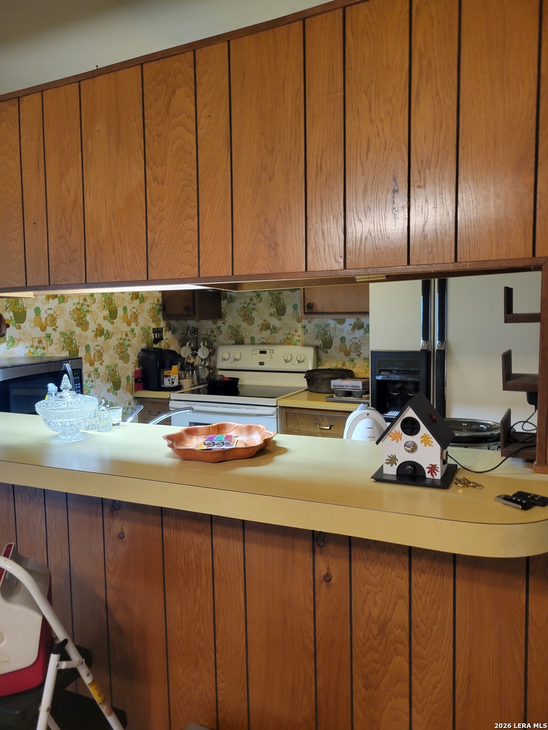 4202 AVENIDA PRIMA ST, ,  78233 — photo 1