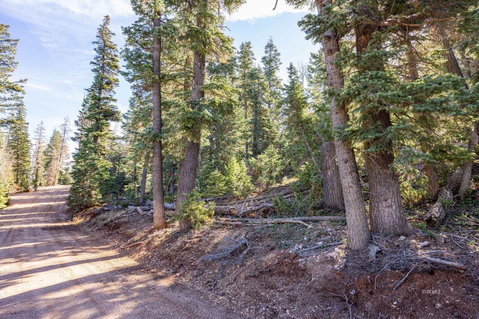 1285 W Twisted Trail, Duck Creek Village, UT 84762 — photo 1