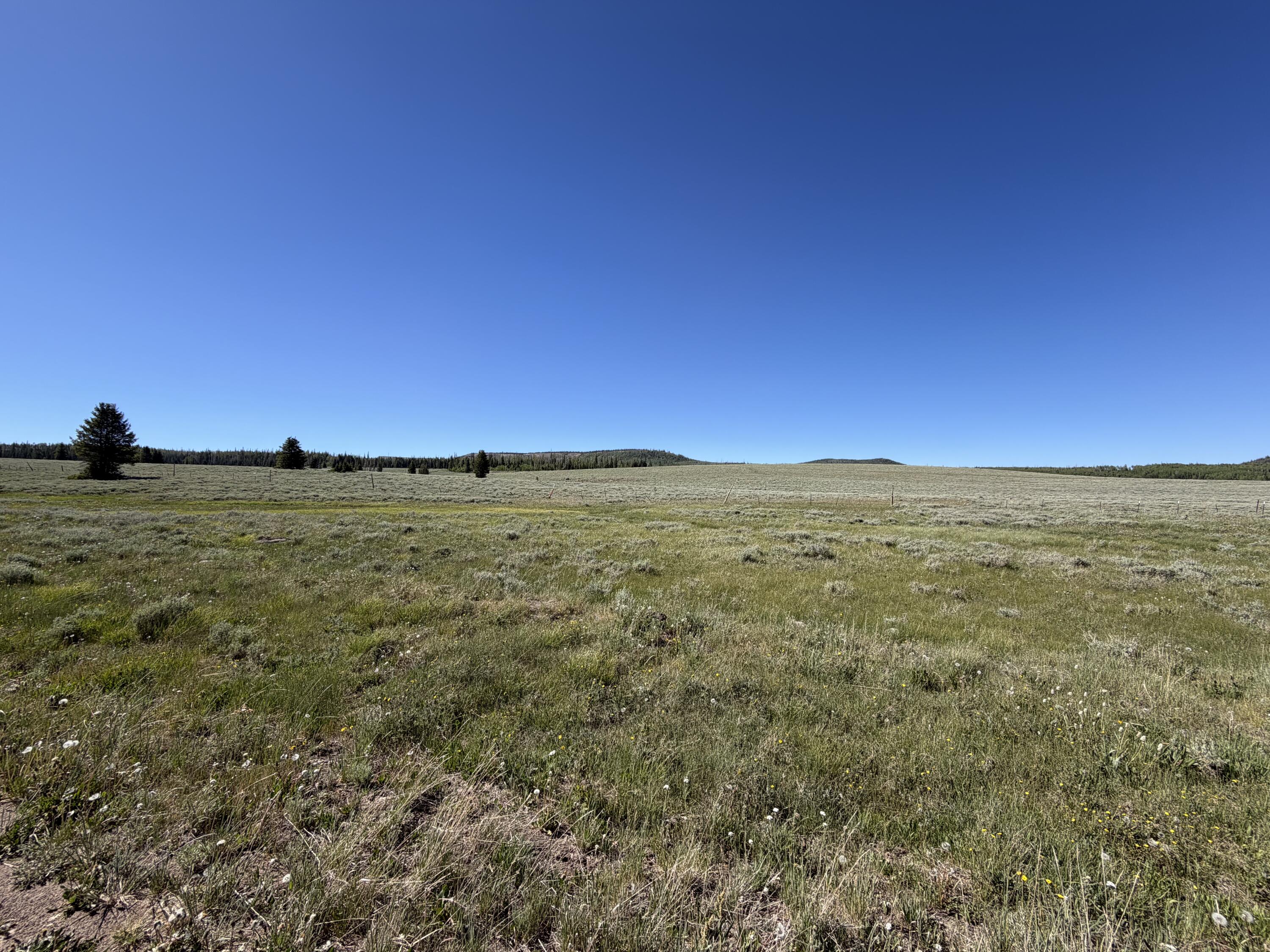 2479 E Meadow Lake DR, Brian Head, UT 84719 — photo 1