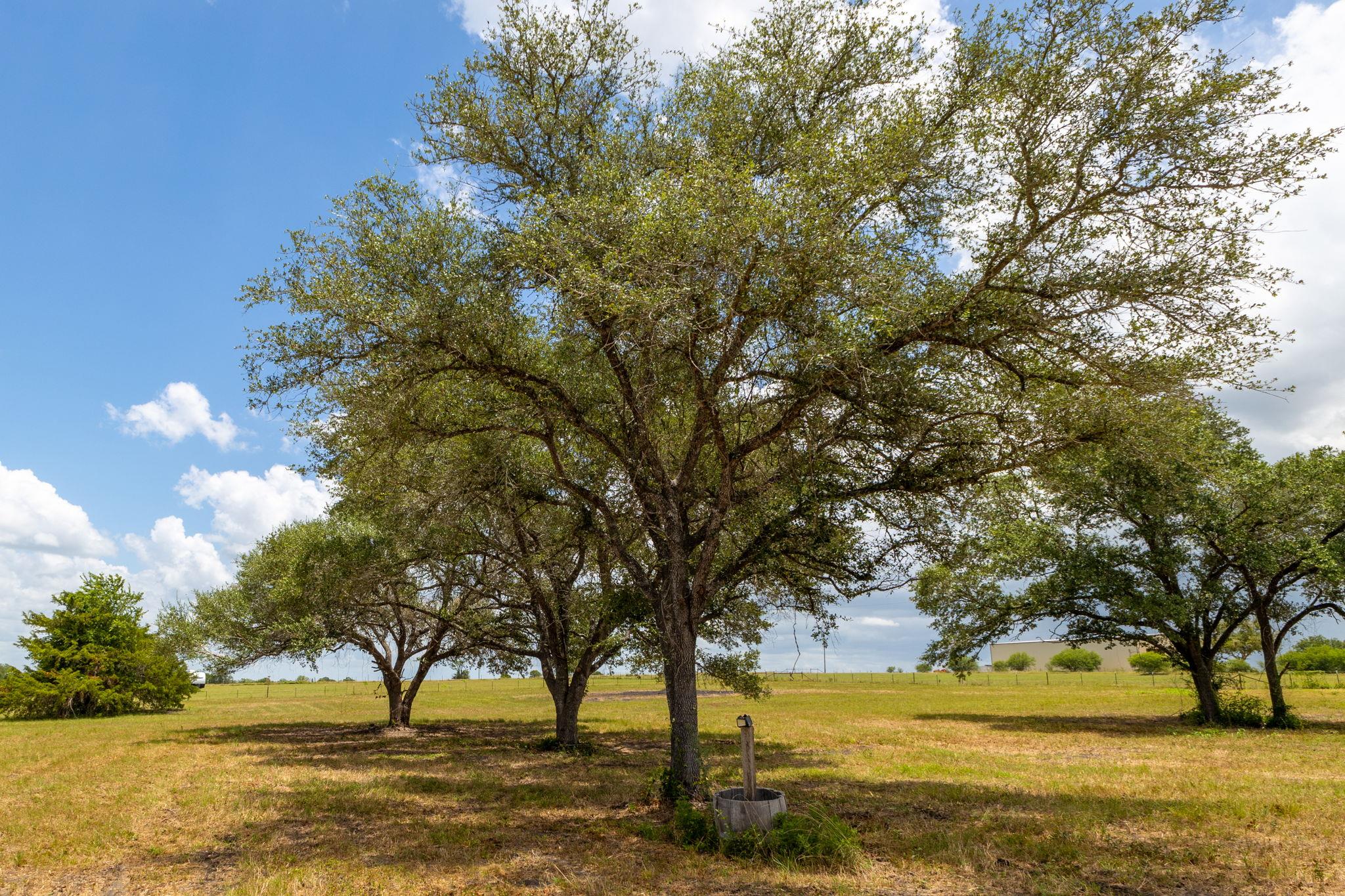 1021 Old Hallettsville, Flatonia, TX 78941 — photo 1