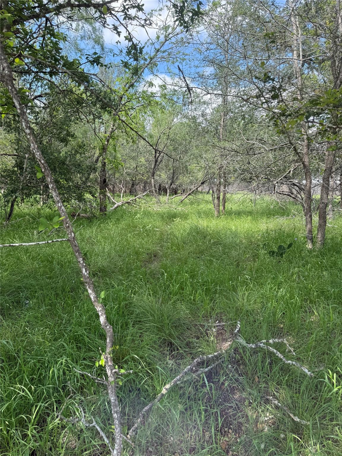 Lot 200 Nene, Bastrop, TX 78602 — photo 1