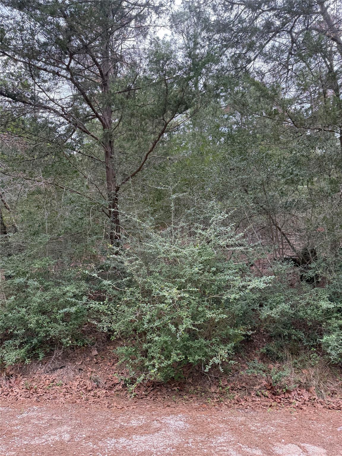Lot 1428 Keeau, Bastrop, TX 78602 — photo 1