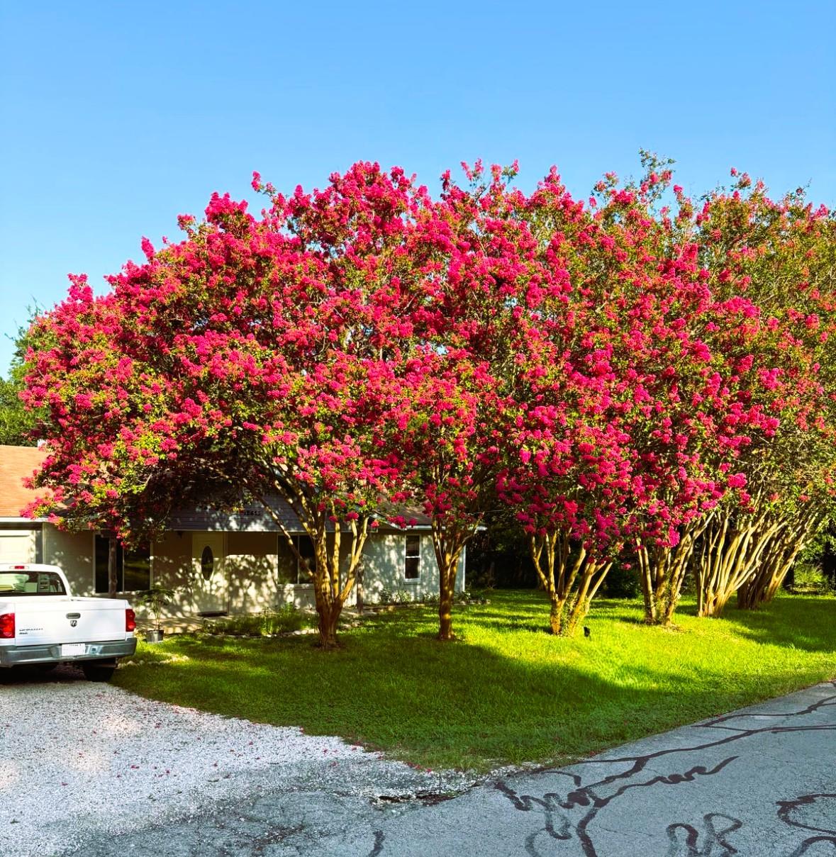 12613 Crystal Creek, Buda, TX 78610 — photo 1