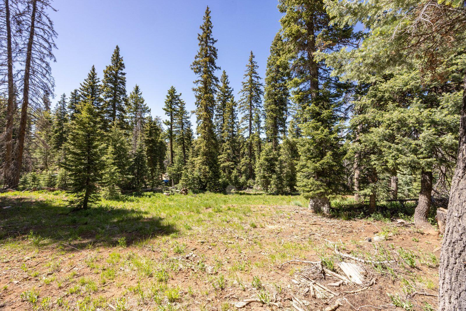 970 W Shale CIR, Duck Creek Village, UT 84762 — photo 1