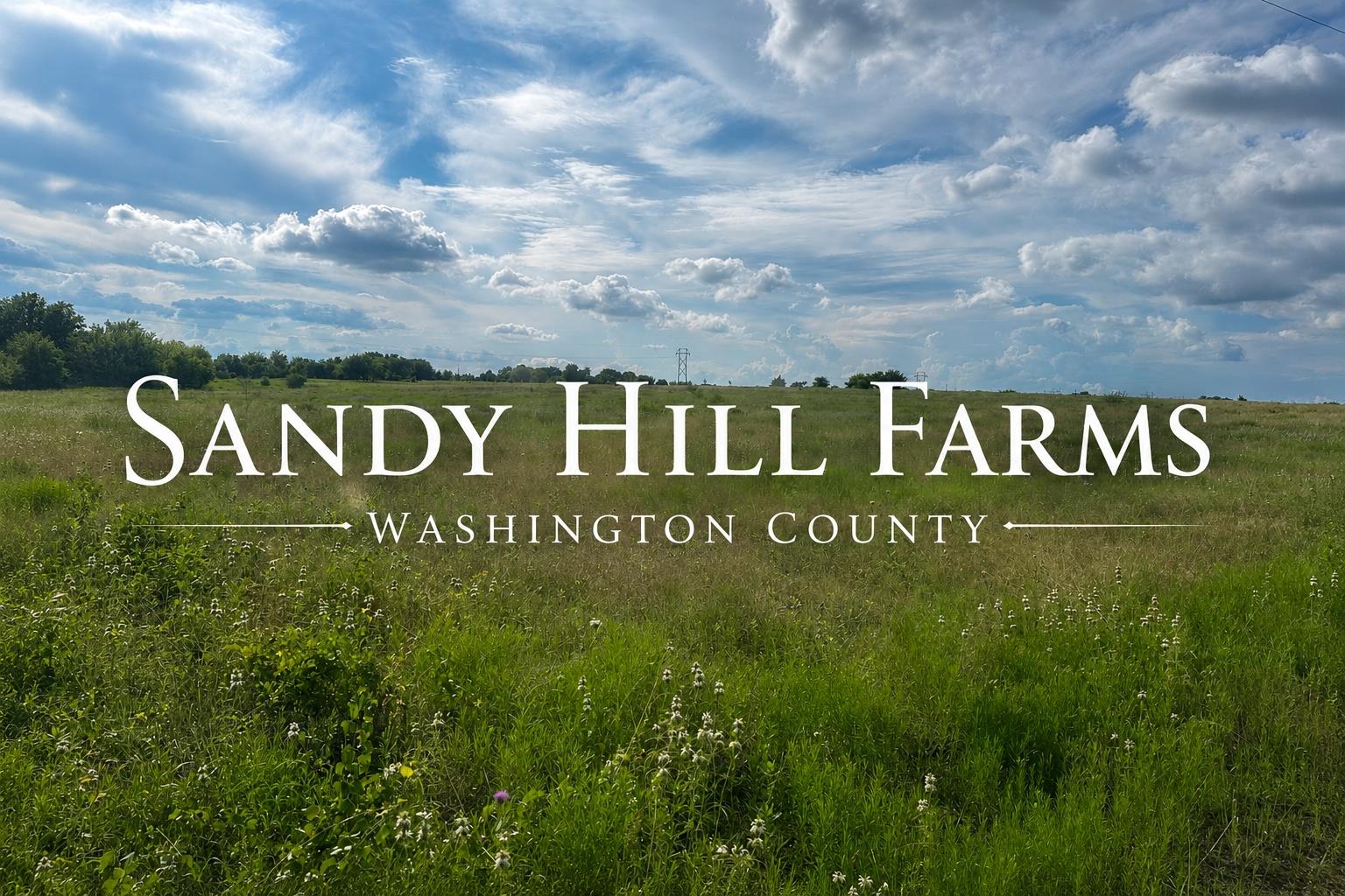 TRACT 3 Randermann Rd