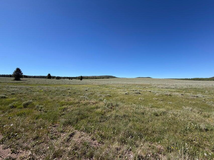 2479 E Meadow Lake DR 8, Brian Head, UT 84719 — photo 1