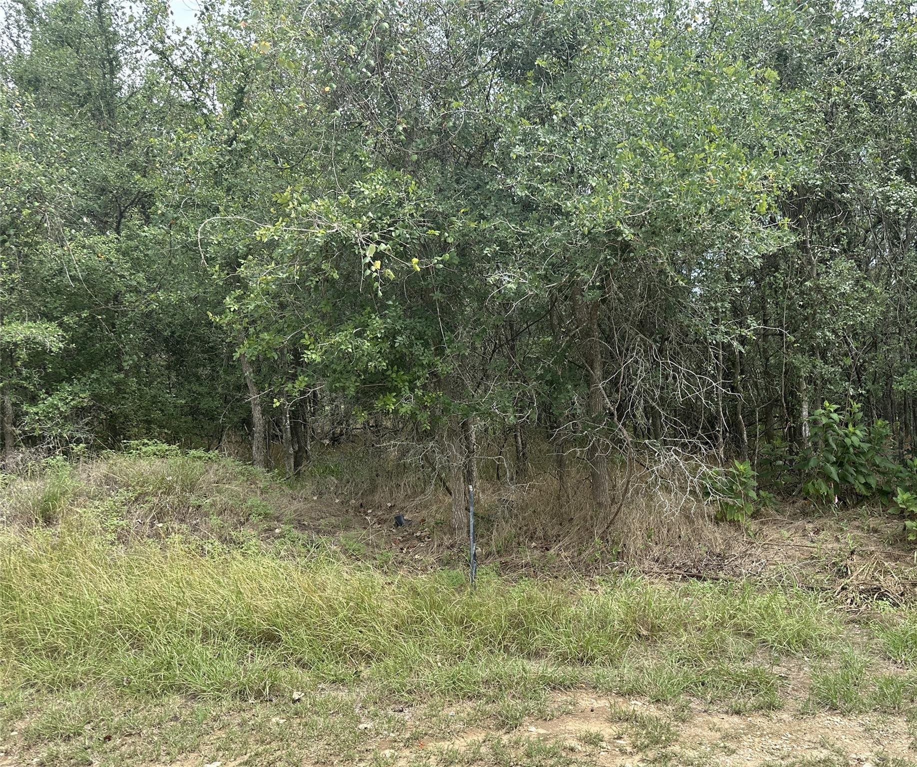 107 Halawa, Bastrop, TX 78602 — photo 1