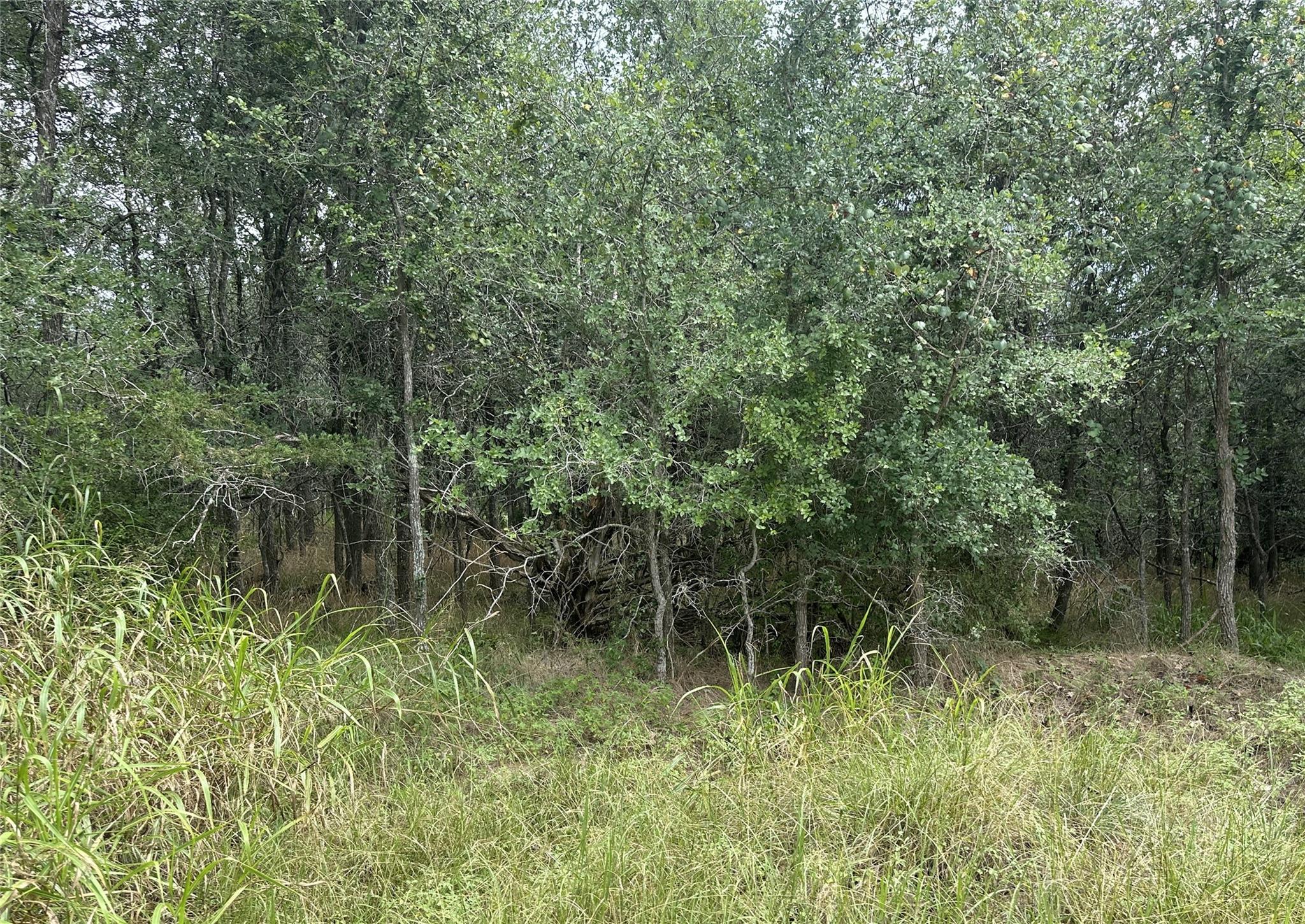109 Halawa, Bastrop, TX 78602 — photo 1