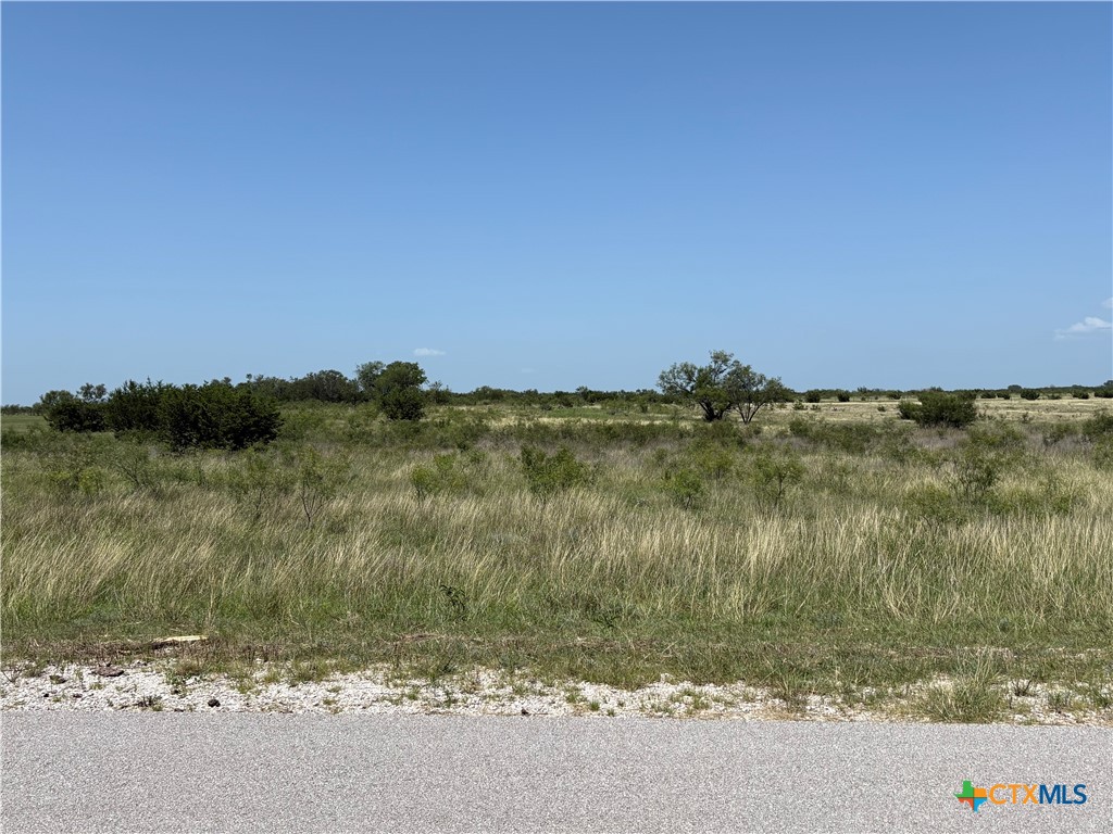 Lot 4 Homestead Drive, Lampasas, TX 76550 — photo 1