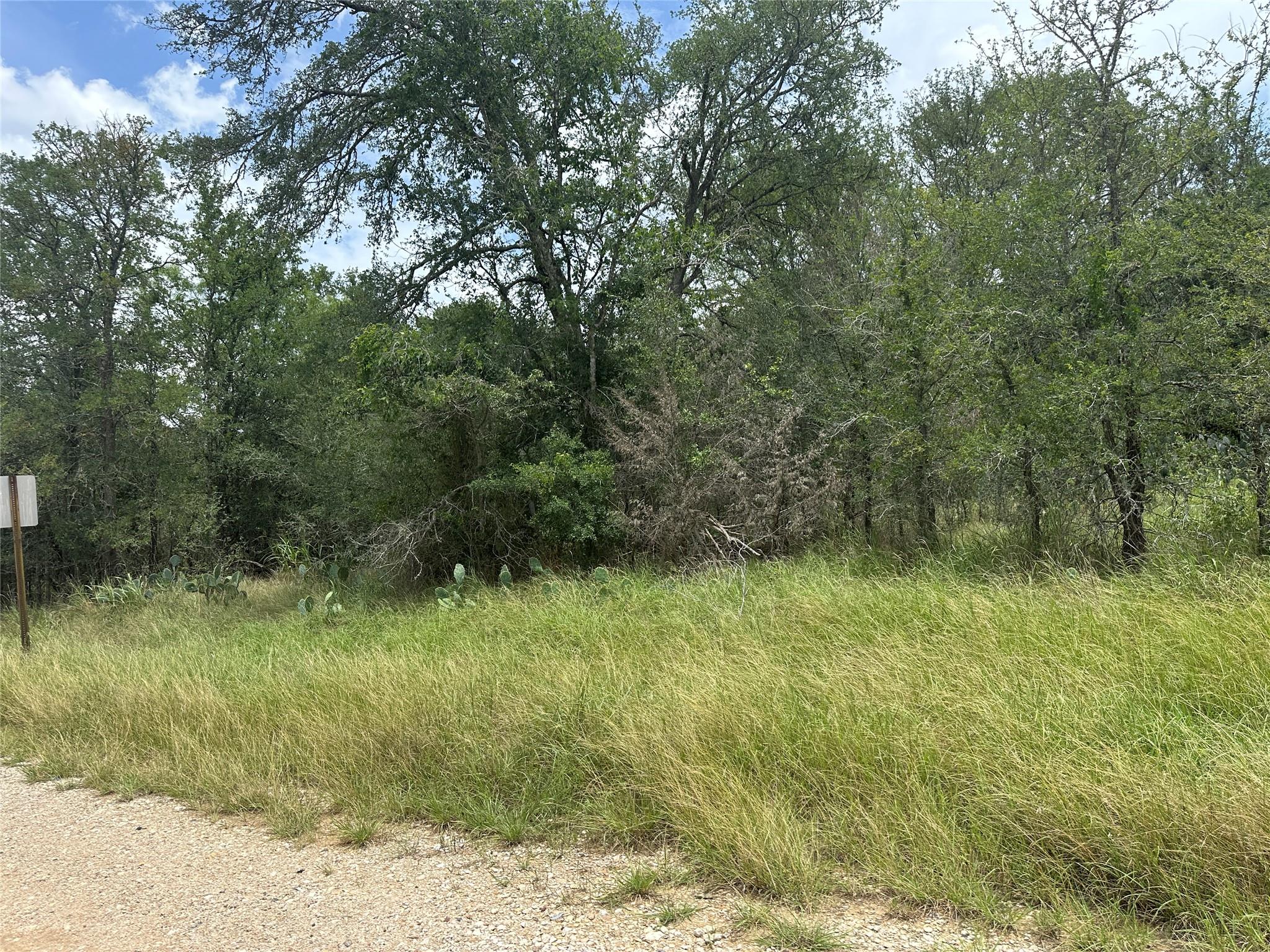 189 Puu Waa Waa, Bastrop, TX 78602 — photo 1