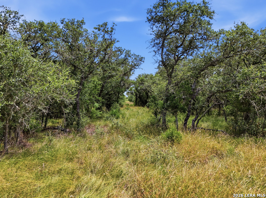 LOT 37 Utopia Oaks, ,  78850 — photo 1