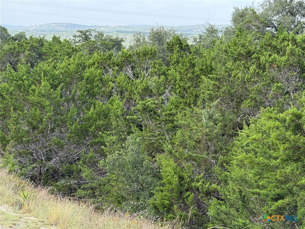 155 LIPIZZAN Lane, Spring Branch, TX 78070 — photo 1