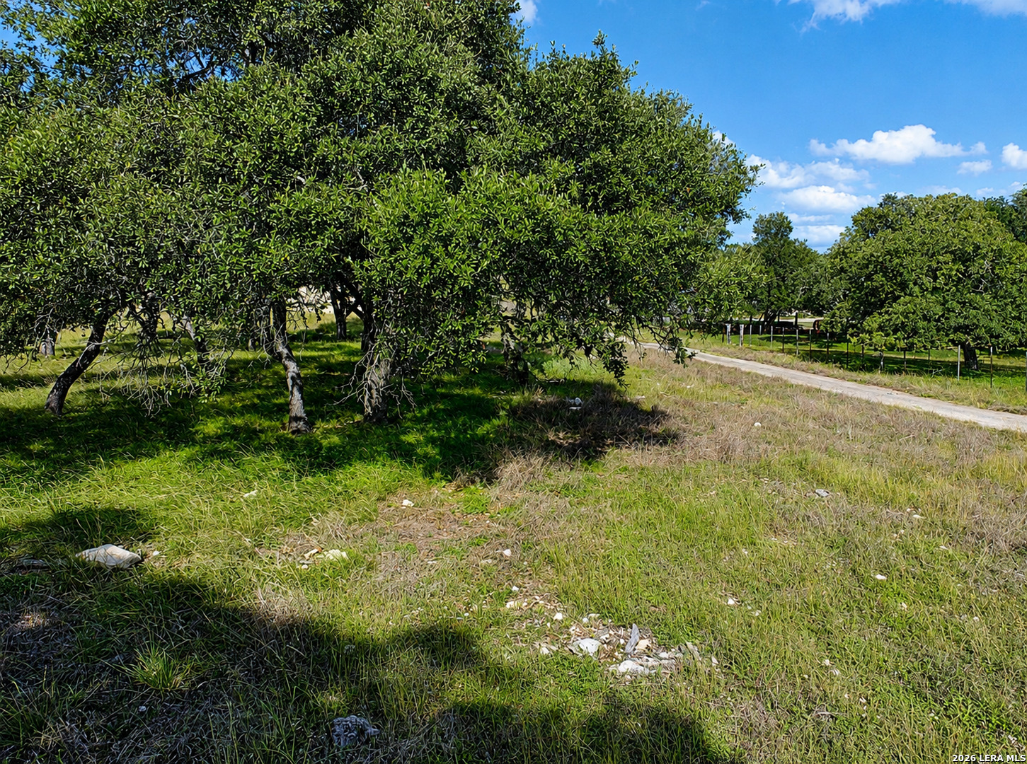 32670 Fm 3351, ,  78006 — photo 1