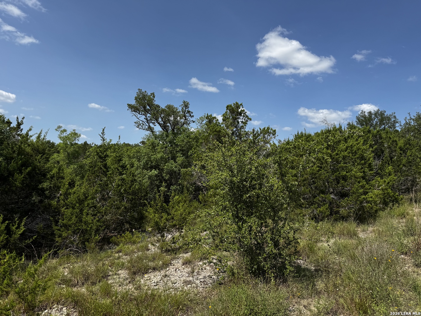 LOT 2 HILLSIDE DRIVE, , 78070 — photo 1