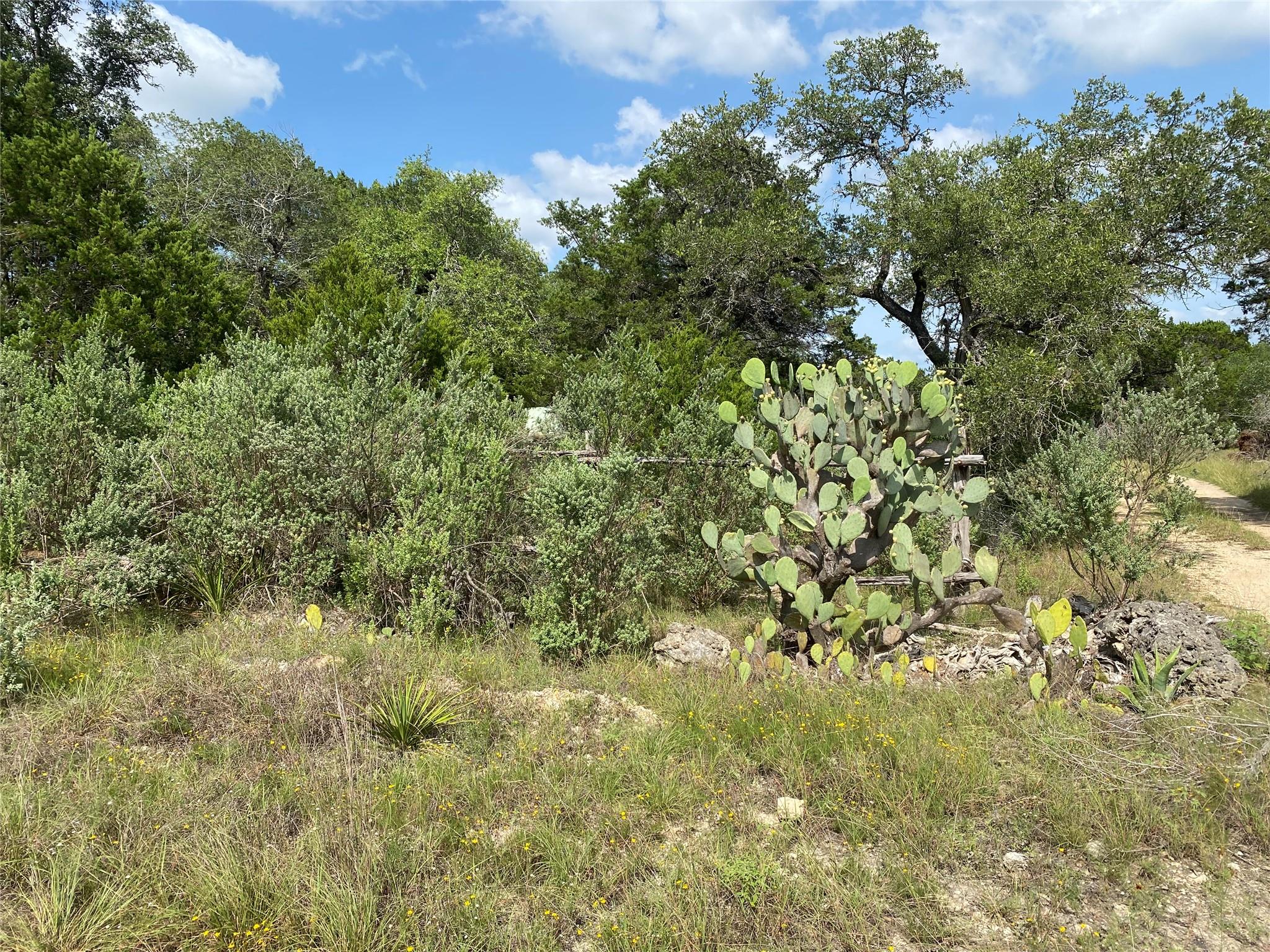 TBD  Oak Meadow Lot #35 Ln, Wimberley, TX 78676 — photo 1