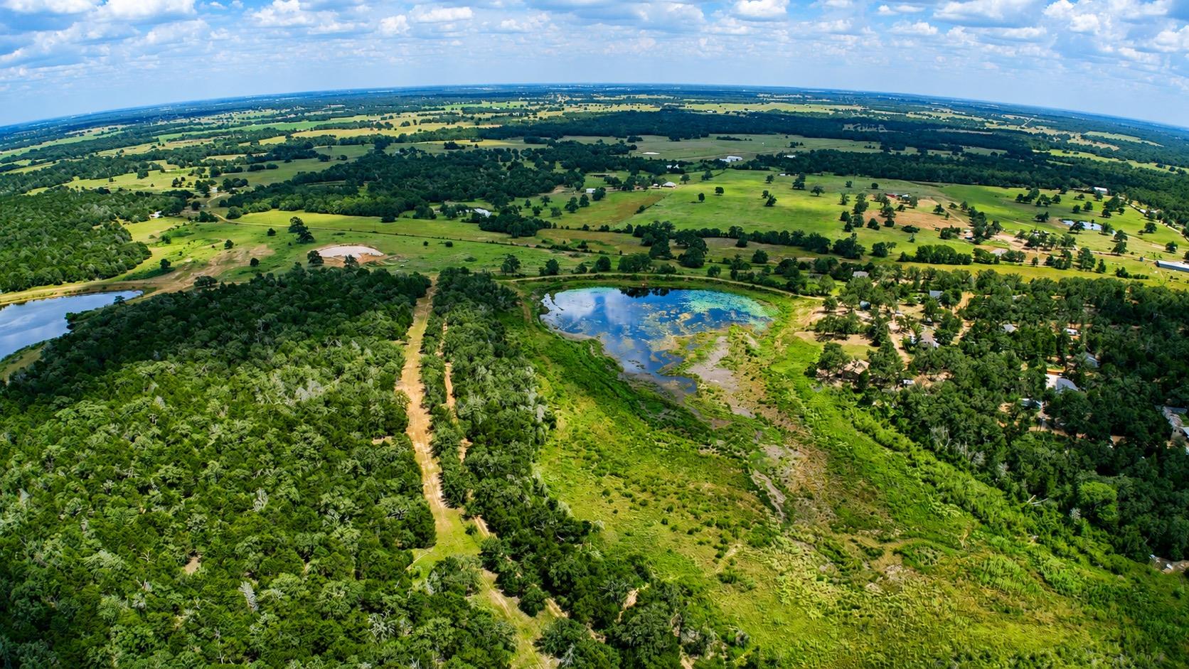 TBD Lot 15  Pecan St, Paige, TX 78659 — photo 1