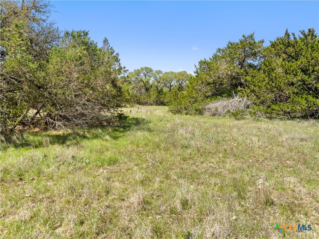 1510 Misty Lane, Spring Branch, TX 78070 — photo 1