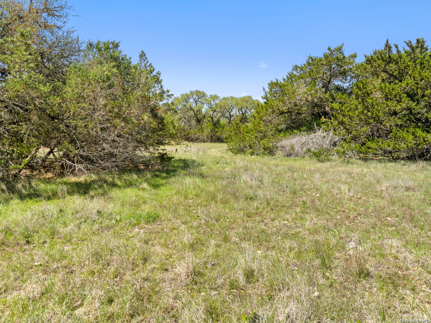 1510 Misty Lane, Spring Branch, TX 78070 — photo 1