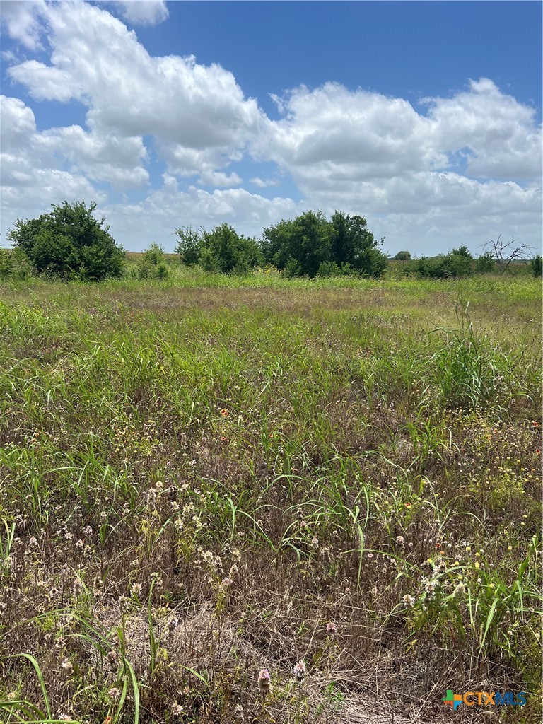 6900 State Highway 95, Granger, TX 76530 — photo 1