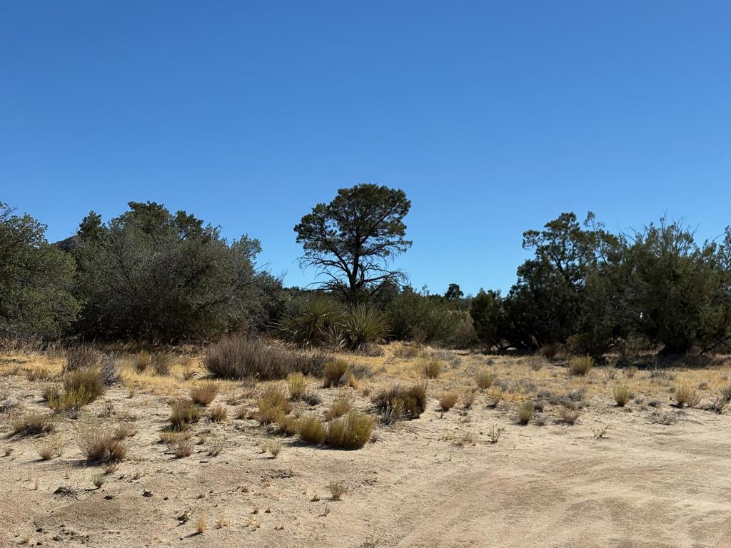 0 Materhorn, Mountain Center, CA 92561 — photo 1