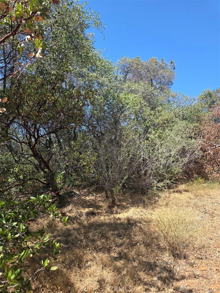 0 Roemelt Lane, Oroville, CA 95966 — photo 1