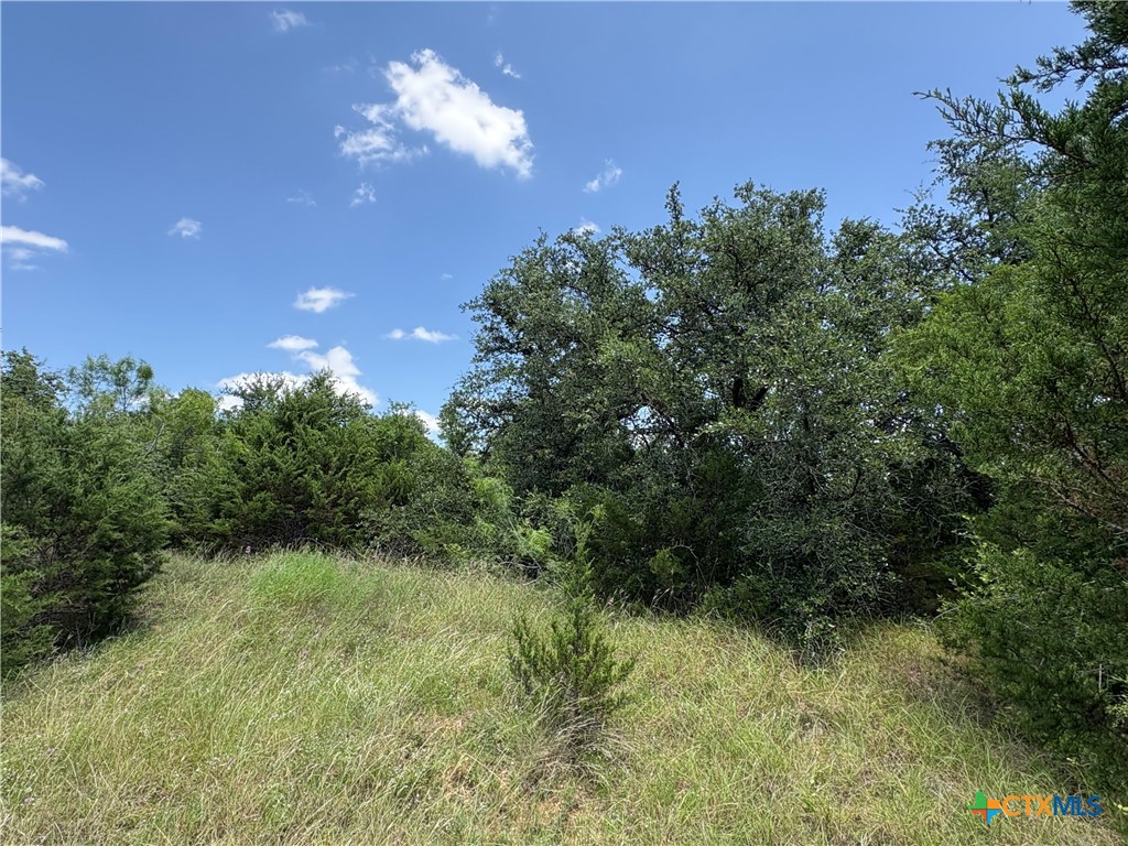 0 County Road 303, Bertram, TX 78605 — photo 1