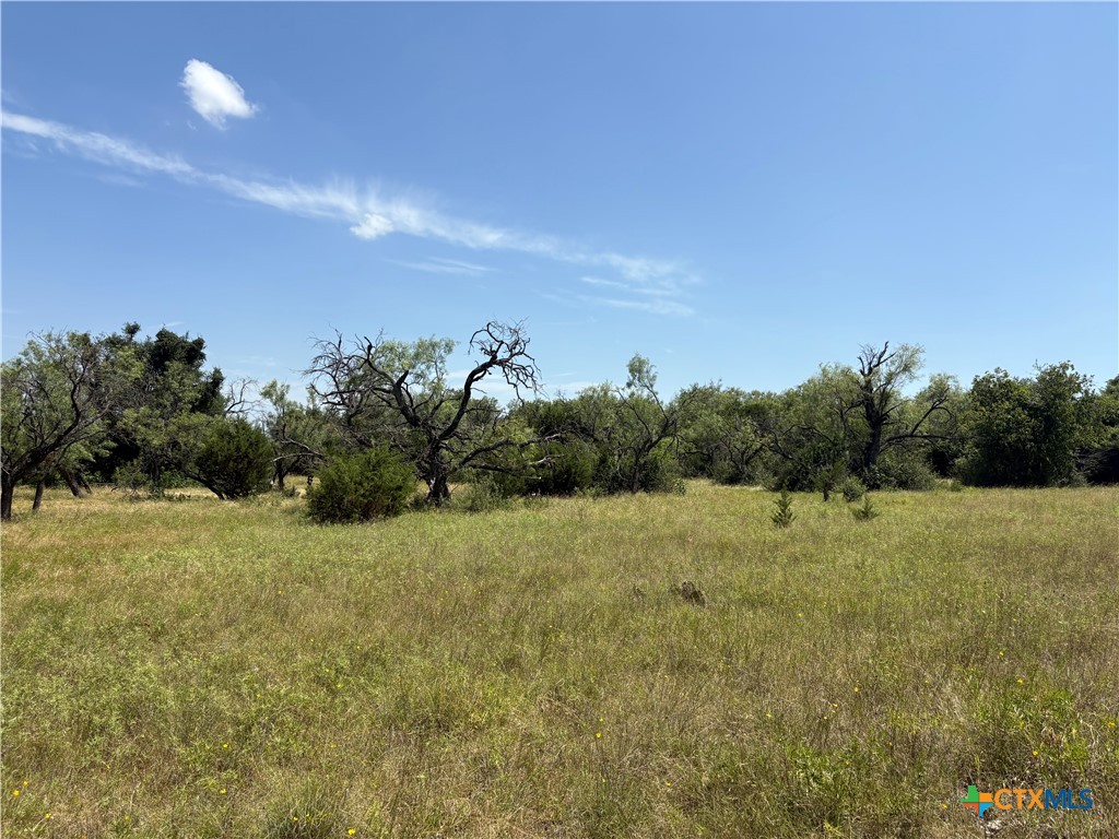 Tract 1 County Road 3421 Road 3423, Lampasas, TX 76550 — photo 1