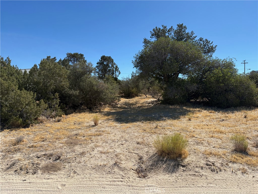 0 Chillon Hts, Mountain Center, CA 92561 — photo 1