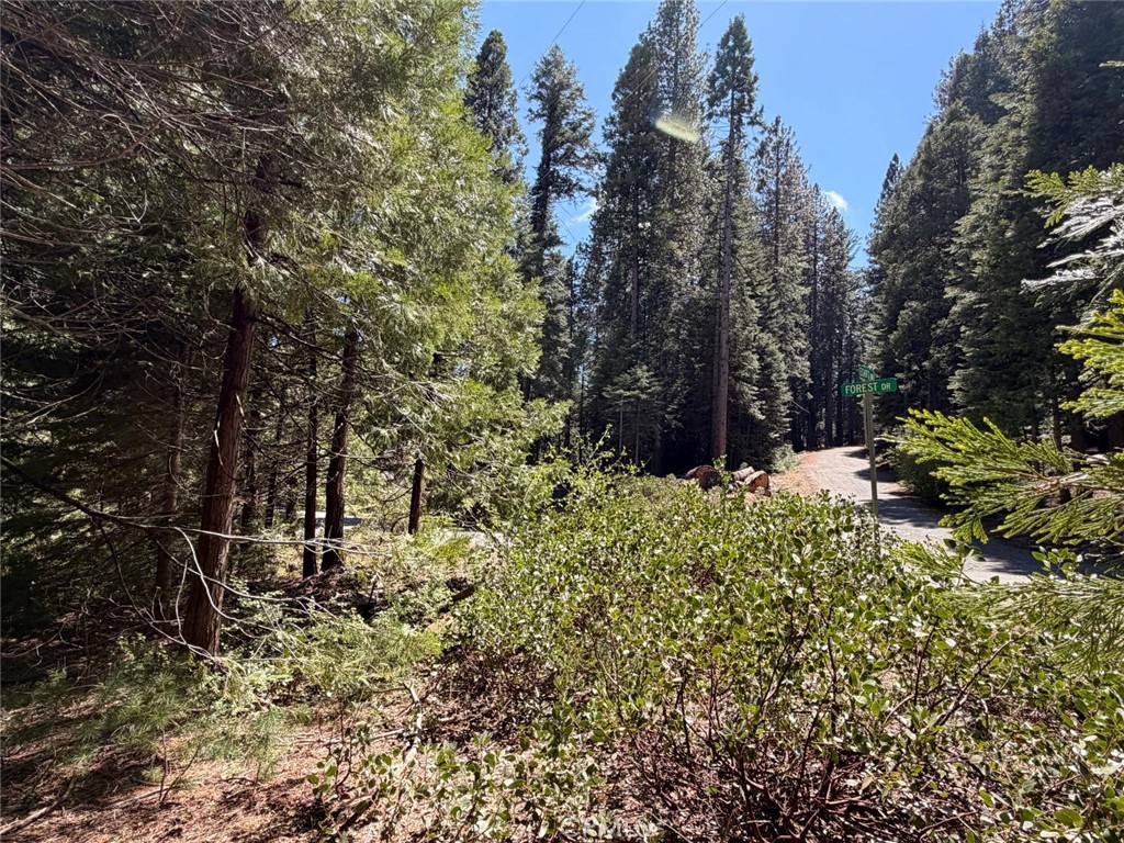 7631 Forest, Fish Camp, CA 93623 — photo 1