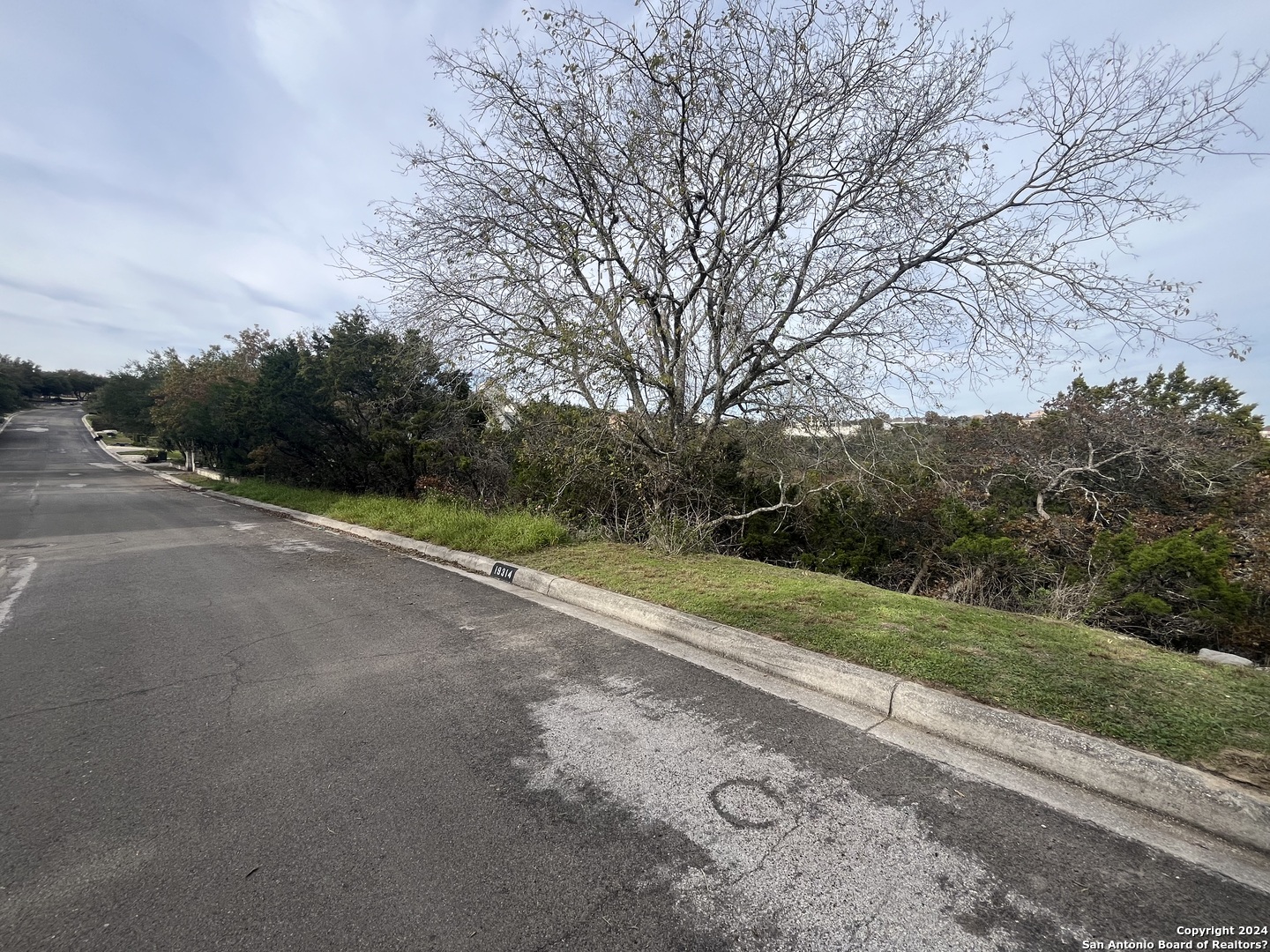 19314 STRAUSS, ,  78256 — photo 1