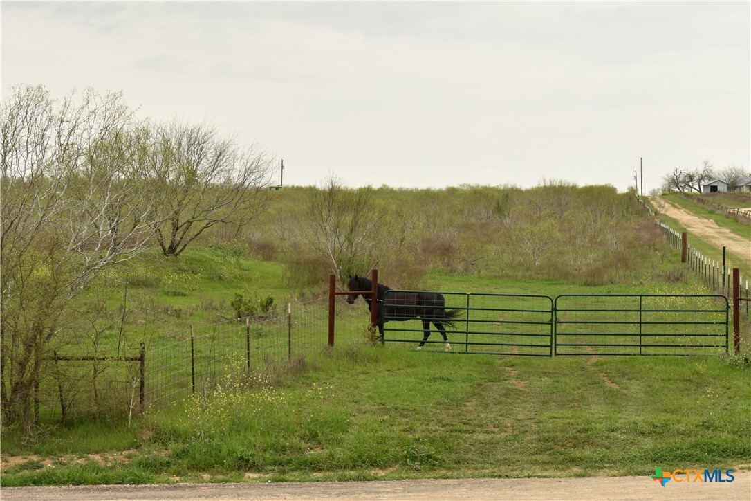 TBD Anderson Lane, Red Rock, TX 78662 — photo 1