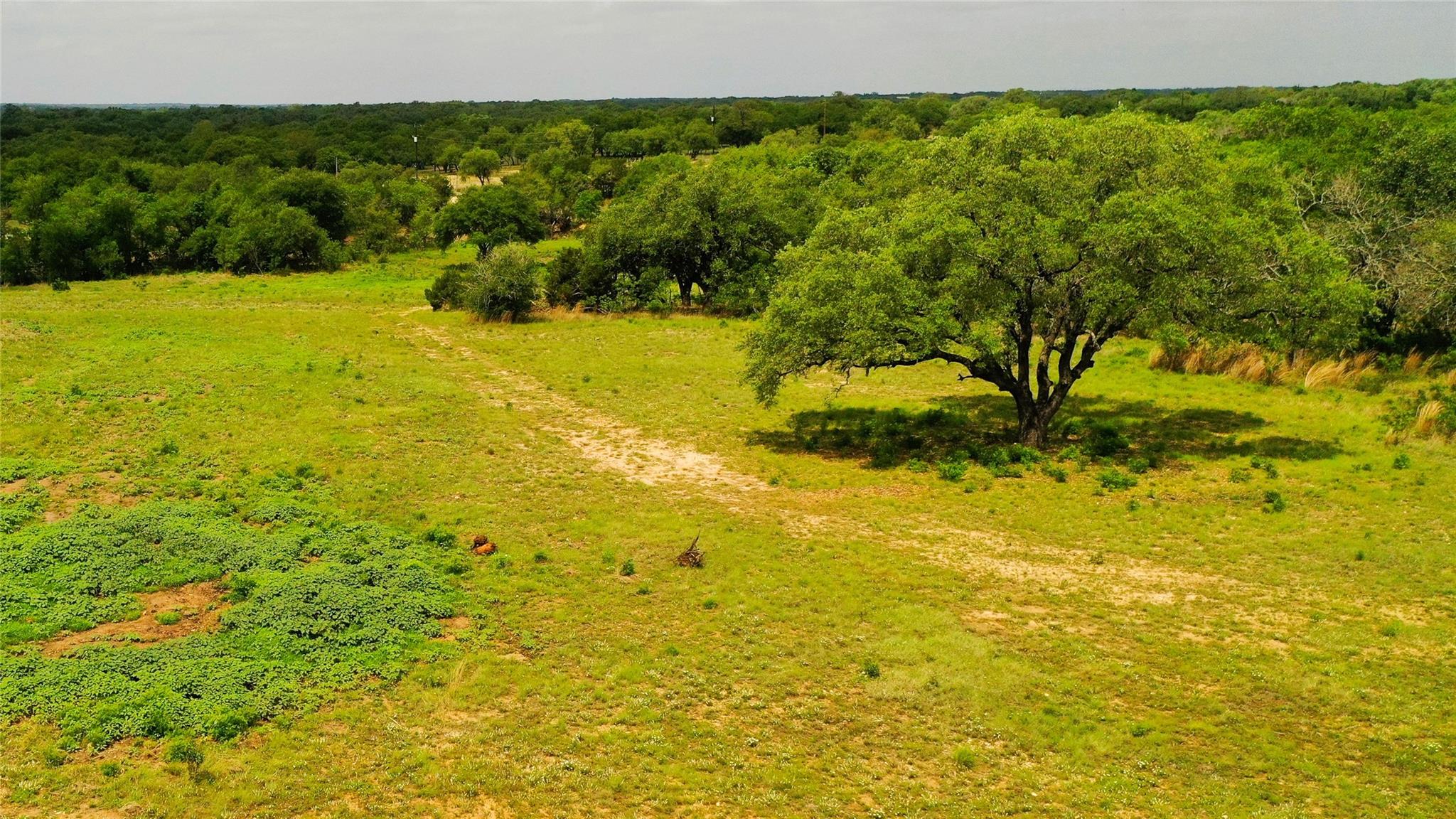 TBD1 CR 321, Bertram, TX 78605 — photo 1