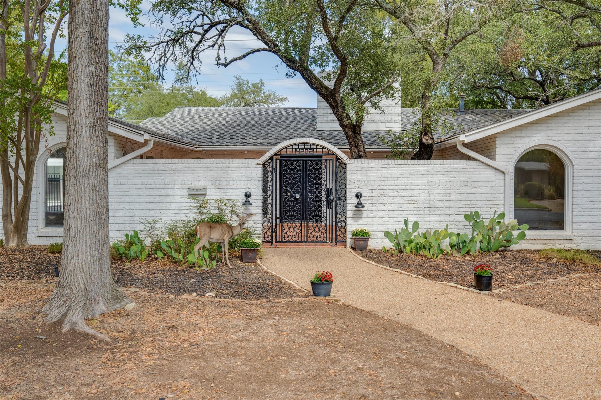 4202 Hills, Austin, TX 78731 — photo 1