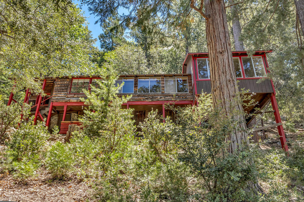 52751 Fernland Drive, Idyllwild, CA 92549 — photo 1