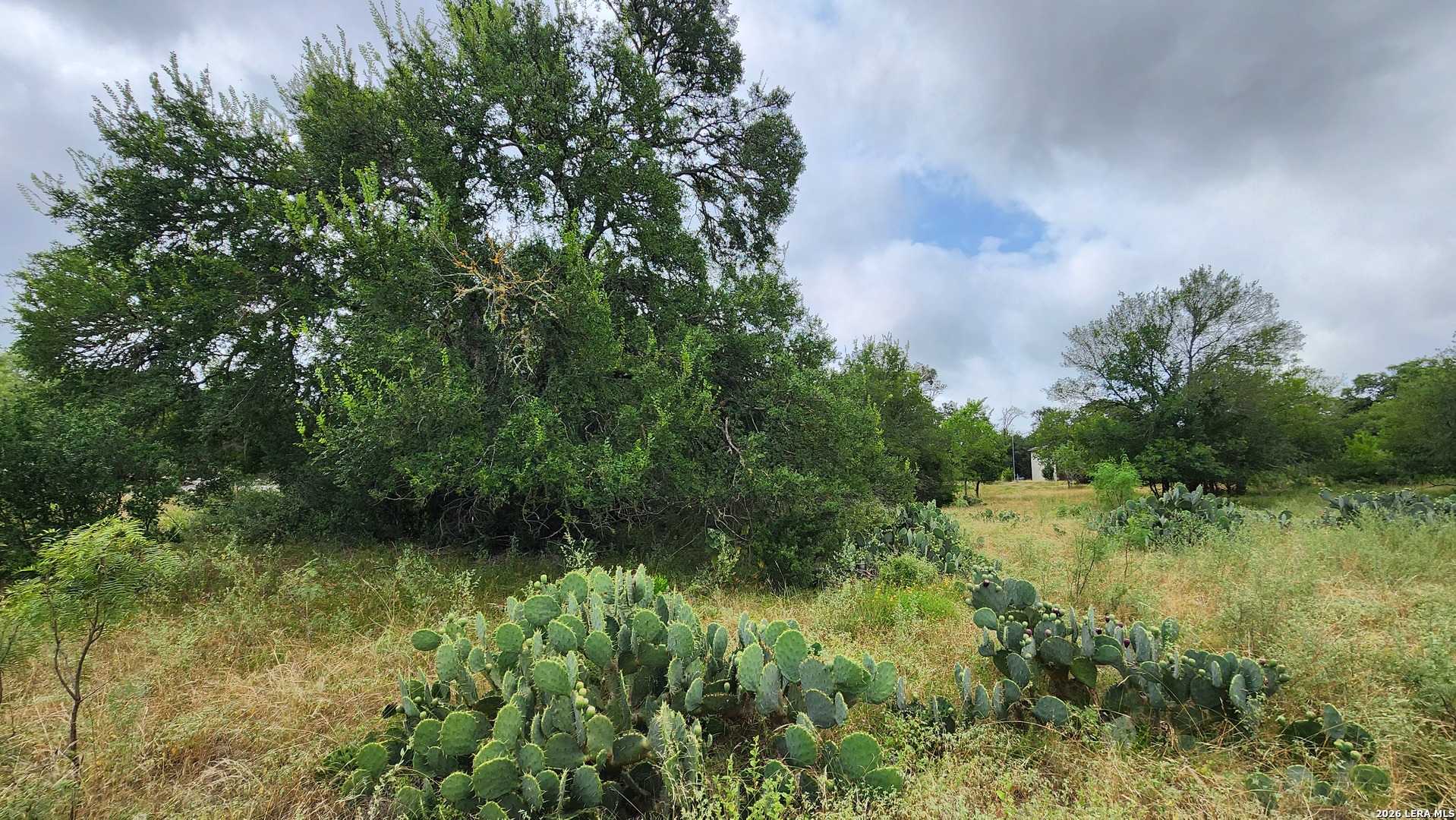 13505 FRENCHMANS CV, San Antonio, TX 78253 — photo 1