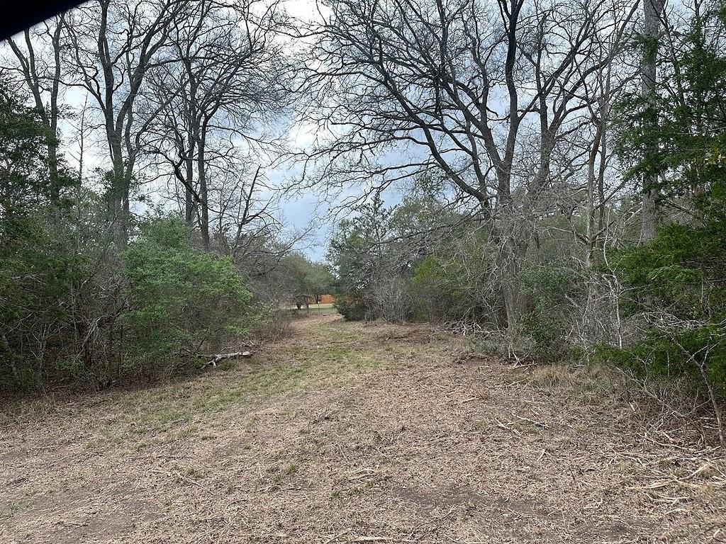 303 FM 609, Flatonia, TX 78941 — photo 1
