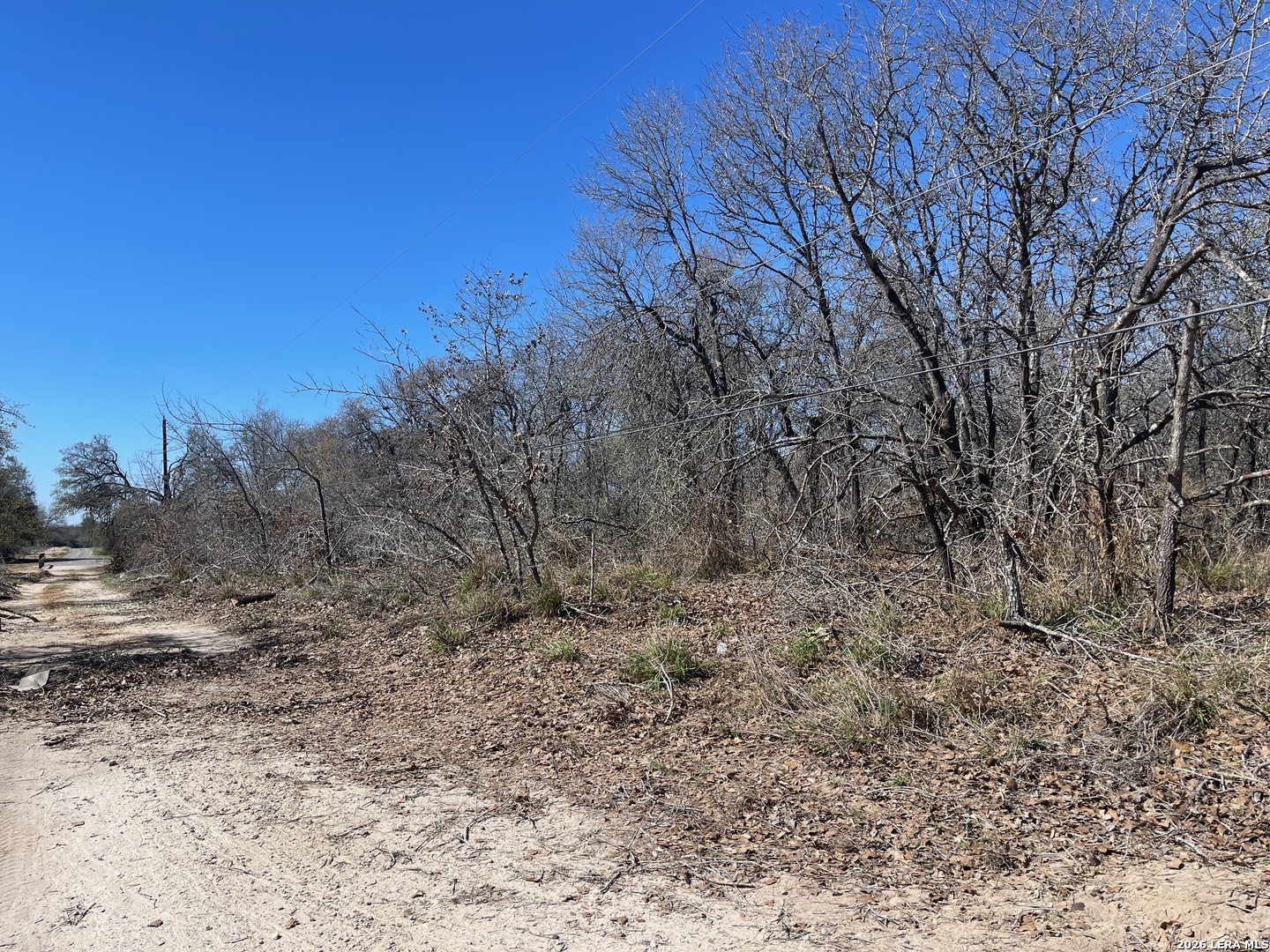 23330 us highway 281, ,  78264 — photo 1