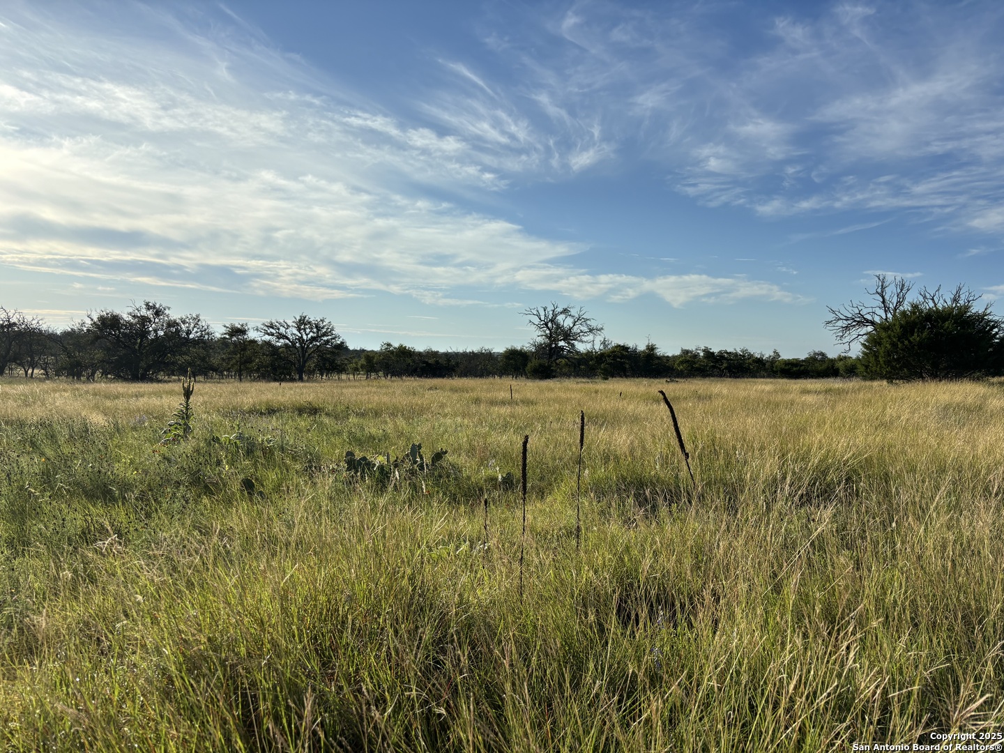 183 Lipan Loop, ,  78631 — photo 1