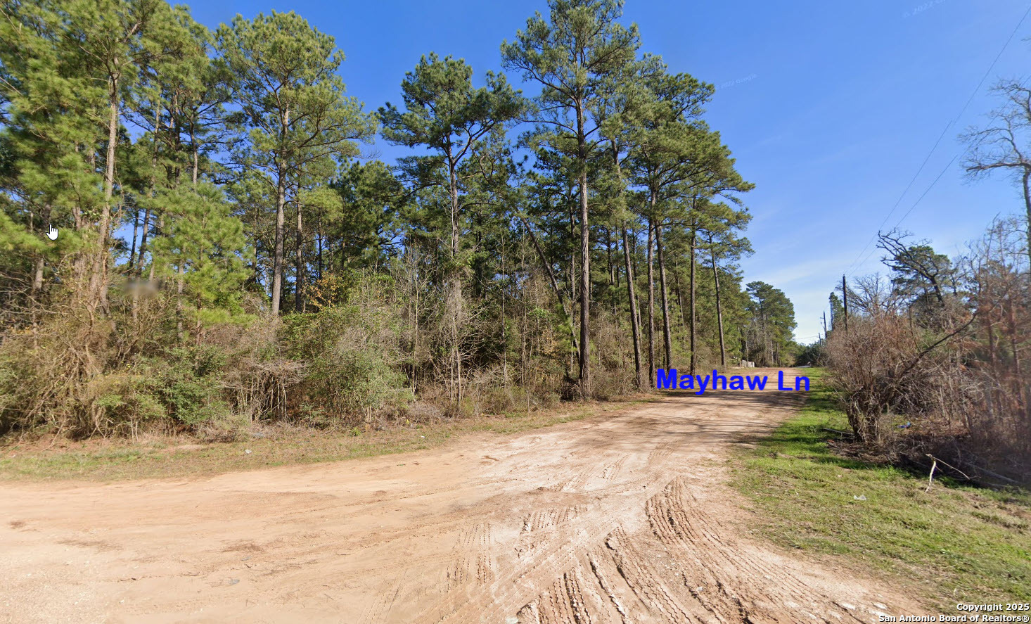 LOT 16 Mayhaw Ln, , 77363 — photo 1