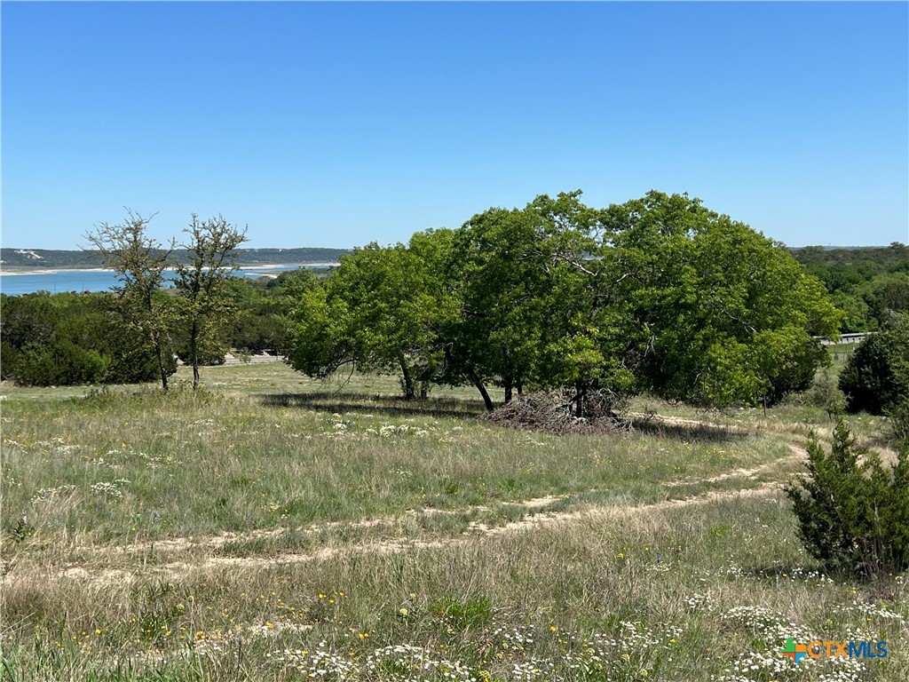 1214 Windy Hill, Salado, TX 76571 — photo 1