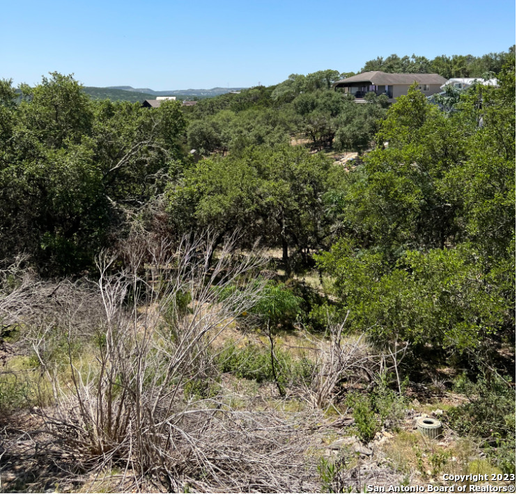 1118 Stagecoach Dr, ,  78133 — photo 1