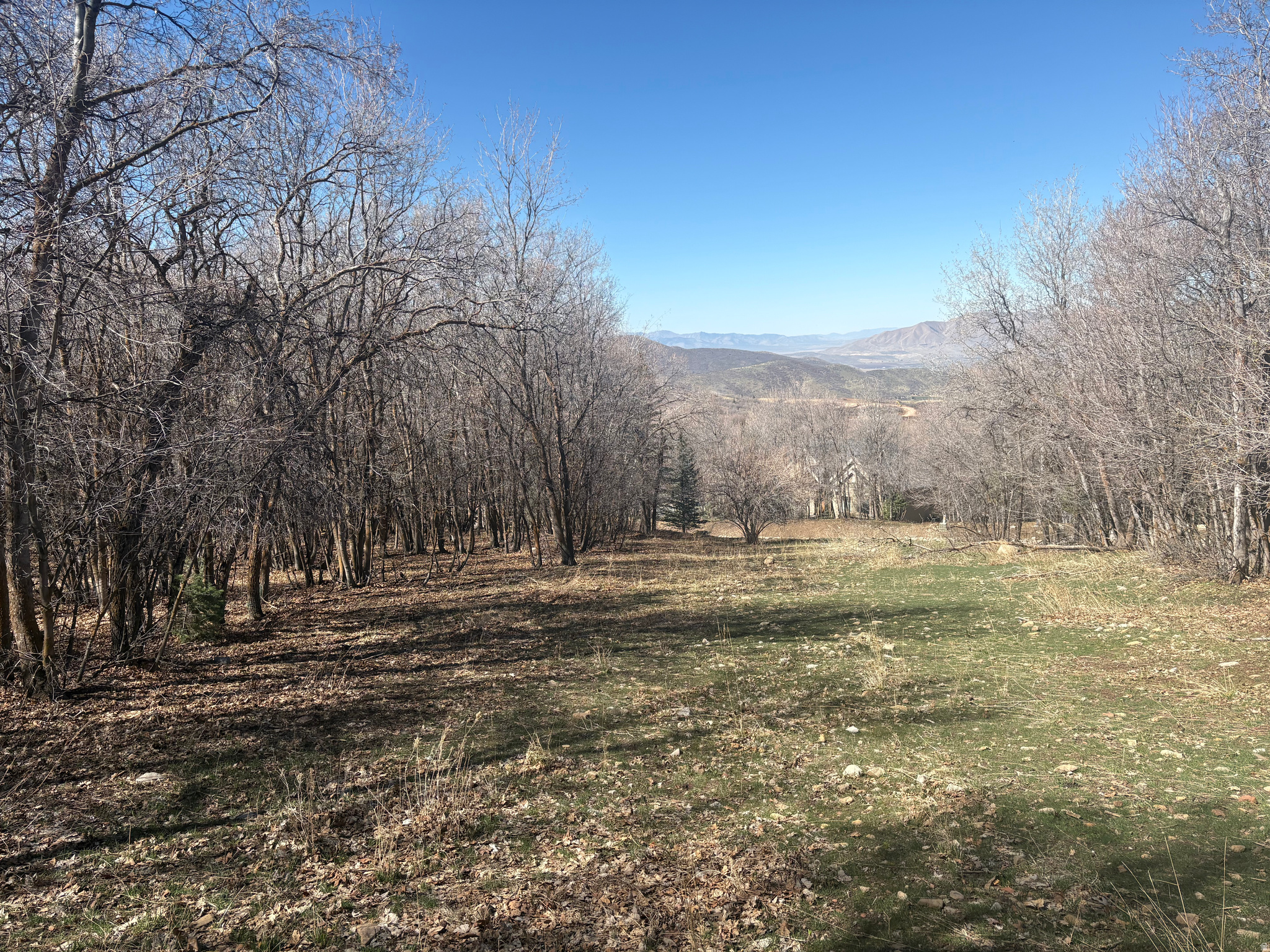 1040 S PINEVIEW RD, Woodland Hills, UT 84653 — photo 1